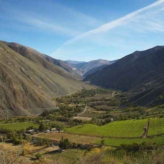 Alto del Carmen